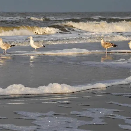 Сasa de vacaciones In Egmond By The Beach, Cleaning Included *